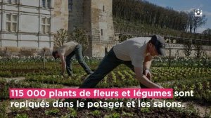 Les secrets des jardins de Villandry ? - My Loire Valley