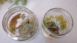 Маринованные грибы грузди волнушки белянки