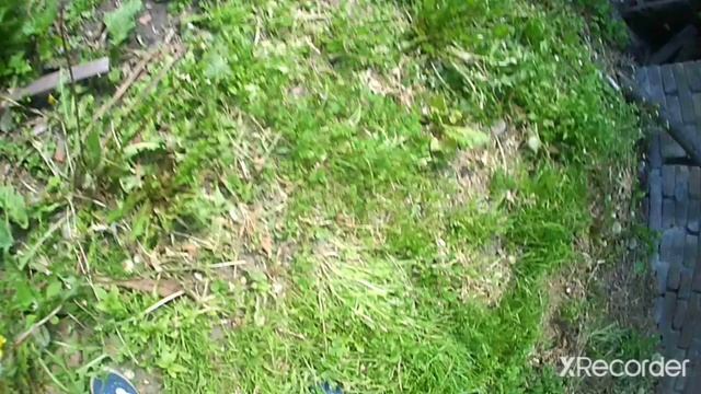 ДИКИЙ ПАРКУ РАЗБИЛ КОЛЕНО!! ЧУТЬ НИ СЛОМАЛ НОГУ! ПОЧЕМУ?? смотреть онлайн