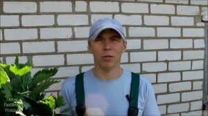 КРАПИВА И ЕЁ ПРИМЕНЕНИЕ ДЛЯ КУР И КАК УДОБРЕНИЕ ДЛЯ РАСТЕНИЙ//МОЯ ЛЮБИМАЯ УСАДЬБА