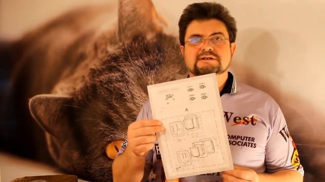 Дверца для кошки смотреть онлайн