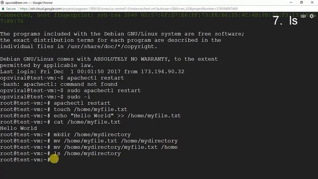 The 12 Most Important Linux Commands (With Examples)