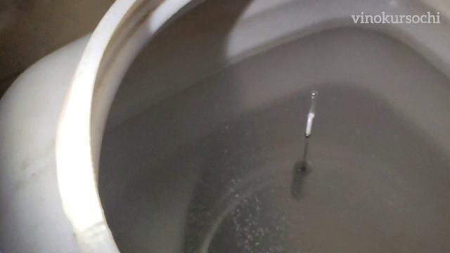ВИСКИ из концентрата. Полный обзор, брожение, перегон, выдержка в бочке.