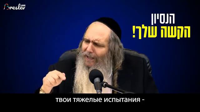 Рав Шалом Аруш | Твое достоинство смотреть онлайн