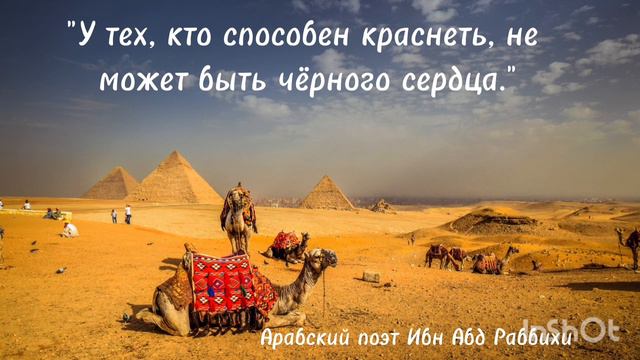 Невероятно Мудрые Цитаты Великих Людей. Глубокие Мысли. Мудрость Веков.