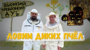 Ловушка для диких пчел. Или как отжать "чужих" пчел