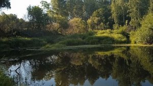 Красота Сибирской тайги