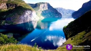 Соседи моей бабушки постоянно мешают ей спать: как я отвадила их делать это раз и навсегда