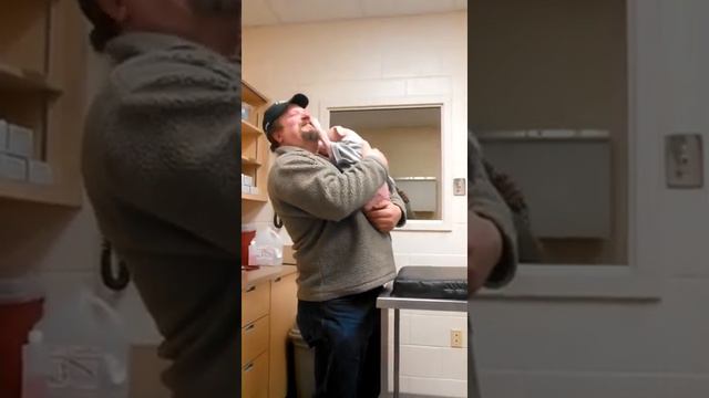 Un chiot Pit Bull est heureux de revoir son sauveur смотреть онлайн