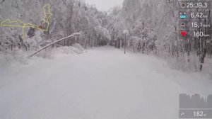 Парк Мещерский - Лыжная трасса 12 км