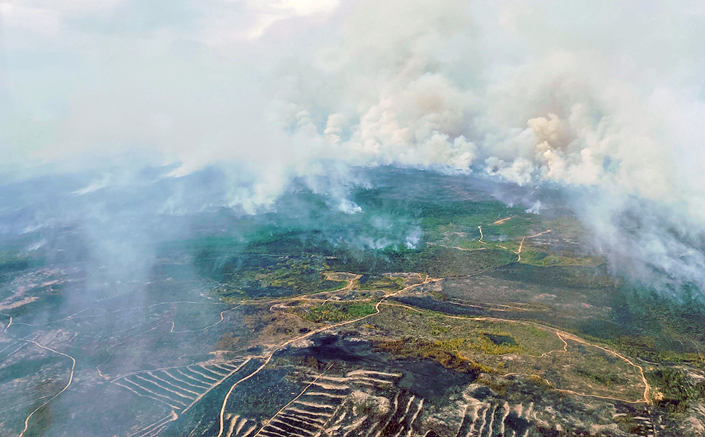 Путин назвал правильным решение Собянина по пожарам / События на ТВЦ