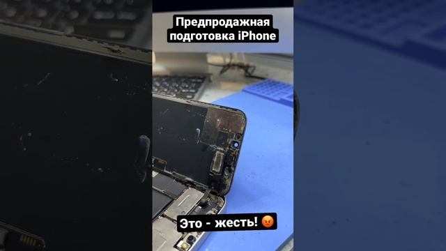 Вот так можно вляпаться купив б/у айфон на Авито! ? #apple #iphone