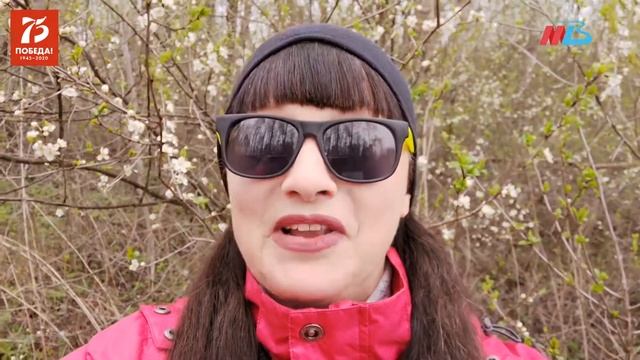 Певица Ника поздравила сталинградцев и ветеранов с Днем Победы смотреть онлайн