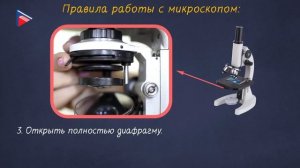 5 класс - Биология - Устройство увеличительных приборов