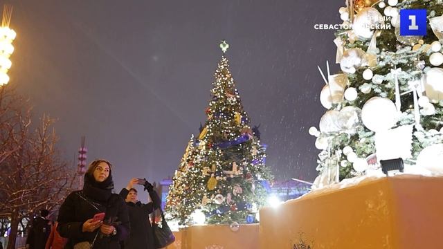 В Москве 89 ёлок на главной аллее ВДНХ засияли огнями