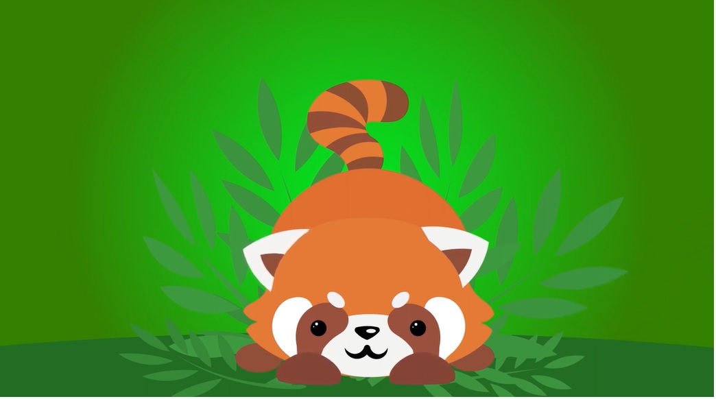 How to draw a red panda / Как нарисовать красную панду