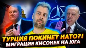 ИСТОРИЯ ЛЮБВИ ШВЕЦИИ И ТУРЦИИ С НОВОГО РАКУРСА| МИГРАЦИЯ ЛЕОПАРДОВ В ПРИРОДЕ