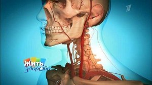 Жить здорово! Выпуск от 24.07.2014