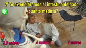 Las Ratitas encuentran un esqueleto en casa y aprenden a jugar!!