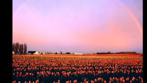 Александр  Кунах  Рисуем радугу