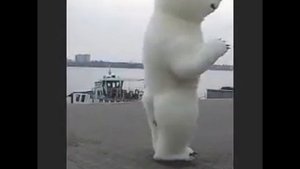 Ростовая кукла Белый Медведь dnepr.mp4