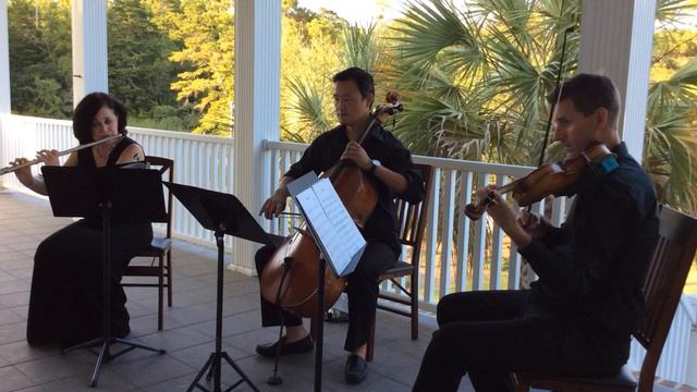 Spring from Vivaldi's Four Season for flute, violin, and cello (sample version) смотреть онлайн