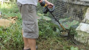 Review DeWalt Cordless String Trimmer | Brushless Grass Cutter |  DCST 972
