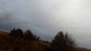 ОХОТА НА УТОК С ПОДХОДА! НАСТРЕЛЯЛИ ПЕРЕЛЁТНЫХ УТОК С ДЖЕССИ! Мр-155 в деле 2021 г.
