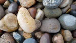 Epic Fossil And Rock Hunt On Lake Michigan Beach #thefinders #fossils #lakemichigan