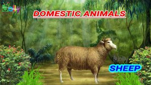 Animal names for Kids in English || Learn Domestic Animals & Wild Animals for Children| Jolly Plane