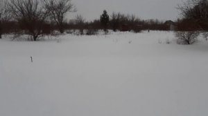 Нагонка и охота с Русской Гончей. Охотничий  Рог.