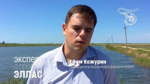 Руководитель Керченского филиала ВНИРО о проекте ЭЛЛАС