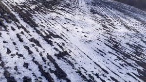 Дробь номер 6 на 20...50 метров
