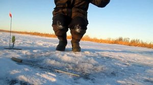 ЩУЧКА НА ЖЕРЛИЦУ. Рыбалка в первый день зимы.