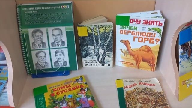Формирование предпосылок читательской грамотности у дошкольников