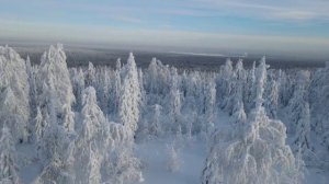 Зимние музыкальные композиции Сергея Чекалина