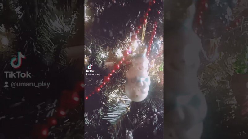 Сегодня два видео . Я не удержалась чтобы показать вам ёлочку которую нарядила я с сестрой . ☃️