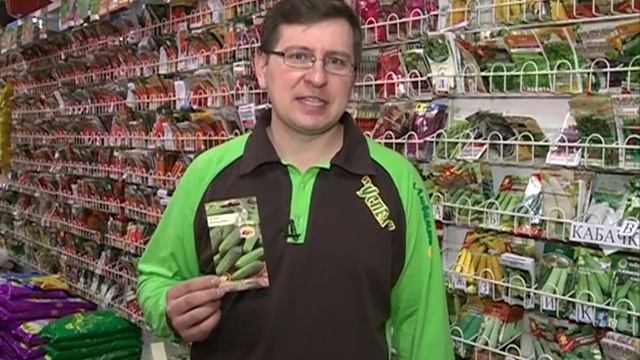 Сорта семян огурцов смотреть онлайн