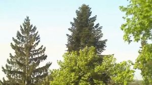 Путешествие в ваше будущее на три года вперёд Медитация