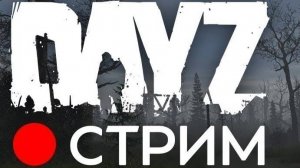 Dayz | PVP