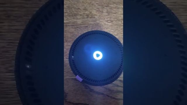 что делать если Алиса не отзывается или не принимает звук wi-fi смотреть онлайн