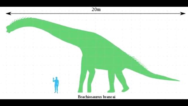 ДиноШоу: Брахиозавр (Выпуск 5) смотреть онлайн