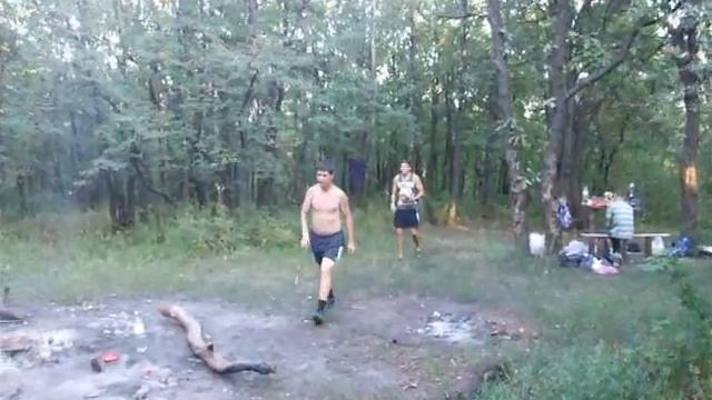 ЛЕС 2 смотреть онлайн