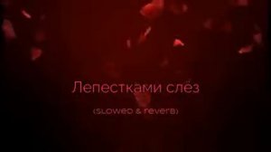 Лепестками слез (slowed & reverb)
