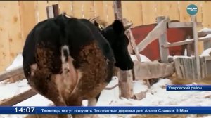 ЛПХ в Упорово