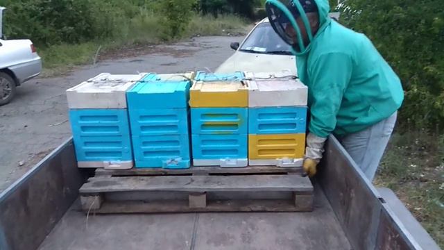 Как возить фадеевские ульи