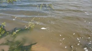 Рыбалка на Оке в Рязани.