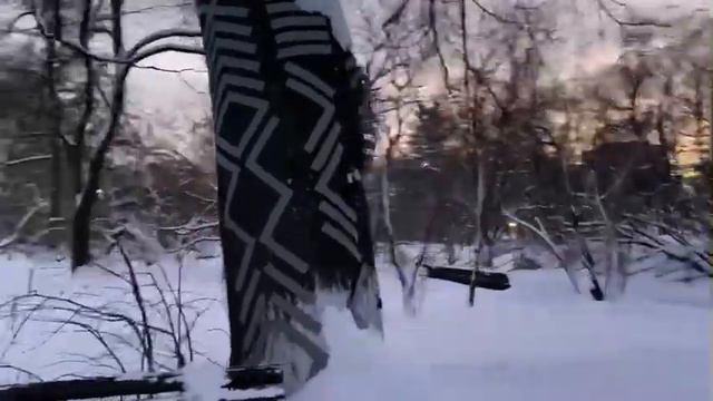 Прогулка по Москве/ Аптекарский огород. Ботанический сад МГУ