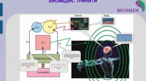 Биомедис Тринити  Принцип работы прибора, описание некоторых программ  Сабухи Шарифов