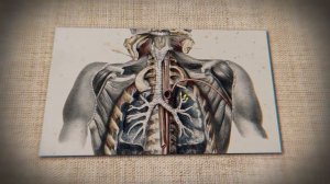 ОСПА - История Болезни